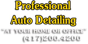 Professional auto detailing